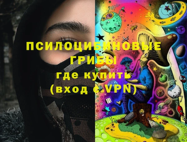ешки Алексин