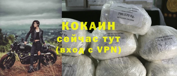 дмт Няндома