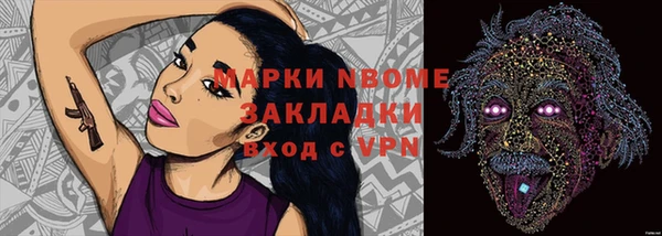 ешки Алексин